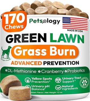 PETSOLOGY Preview