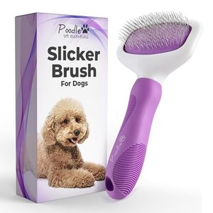 POODLE PET Preview