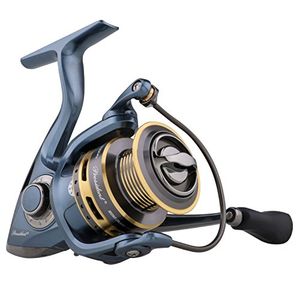 PFLUEGER Preview