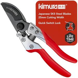 KIMURA Preview