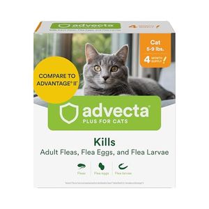 ADVECTA Preview