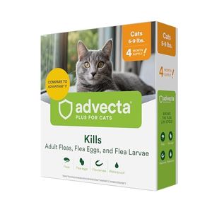 ADVECTA Preview