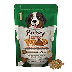 BERNIE'S PERFECT POOP Preview