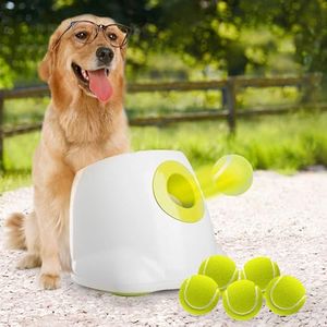 ALL FOR PAWS Preview