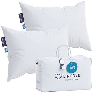 LINCOVE Preview
