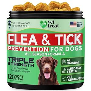 VET TREAT Preview