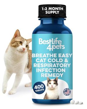 BESTLIFE4PETS Preview
