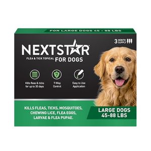 NEXTSTAR Preview