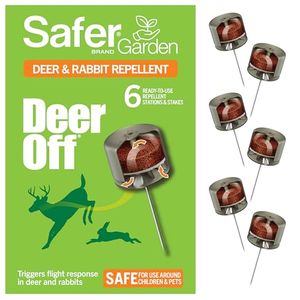 SAFER BRAND Preview