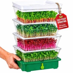 ZESTIGREENS Preview