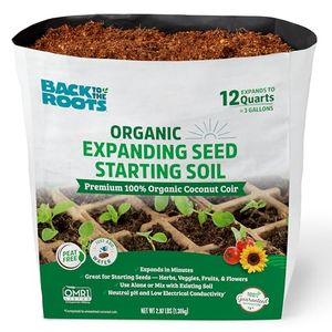 BACK TO THE ROOTS Preview