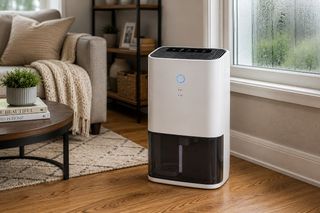 How Dehumidifiers Change a Home