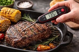 Why a Wireless Meat Thermometer is a Must