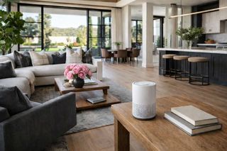 Why Every Home Needs an Air Purifier