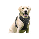Dog Harnesses