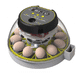 Egg Incubators