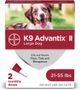 Pet Flea and Tick Prevention