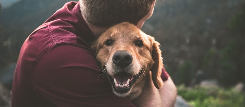 man hugging his dog