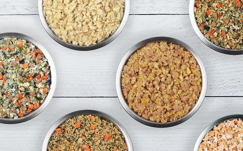 A variety of JustFood ForDogs recipes in bowls and photographed from above