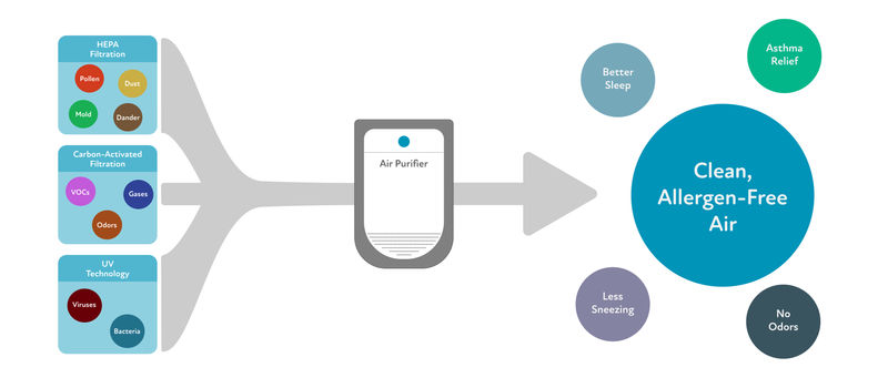 Infographic showing an air purifier removing allergens through the use of HEPA, carbon, and UV filtration
