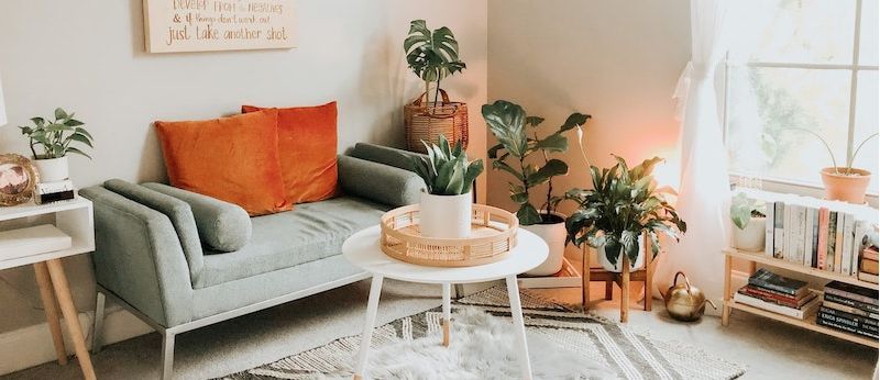 Picture of living room with a light green couch, coffee table, and plants