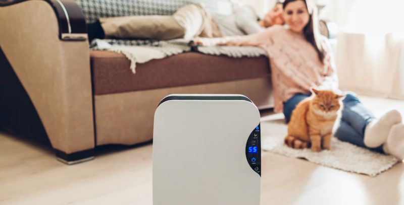 Air purifier sits in foreground while woman and cat are in the background