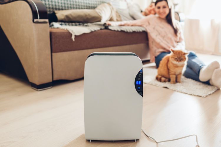 Choosing the Best Air Purifier