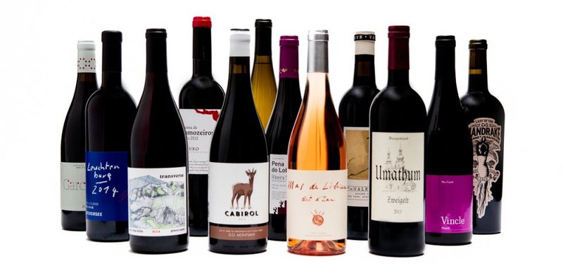 An image of a wide selection of wine bottles lined up together
