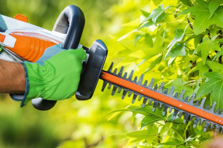 Best Hedge Trimmers to Simplify Fall Yard Work