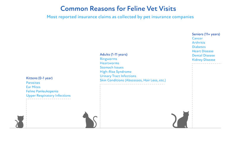 Infographic showing common reasons for feline vet visits as reported by pet insurance companies