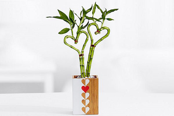 Happy Holidays from Hickory Farms