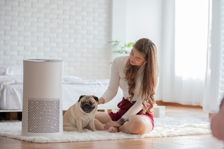 Buyer's Guide Recommends: Air Purifiers