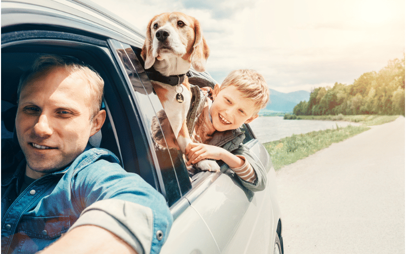 man, boy, and dog in car