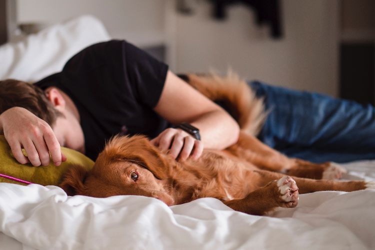 How to Choose the Right Mattress