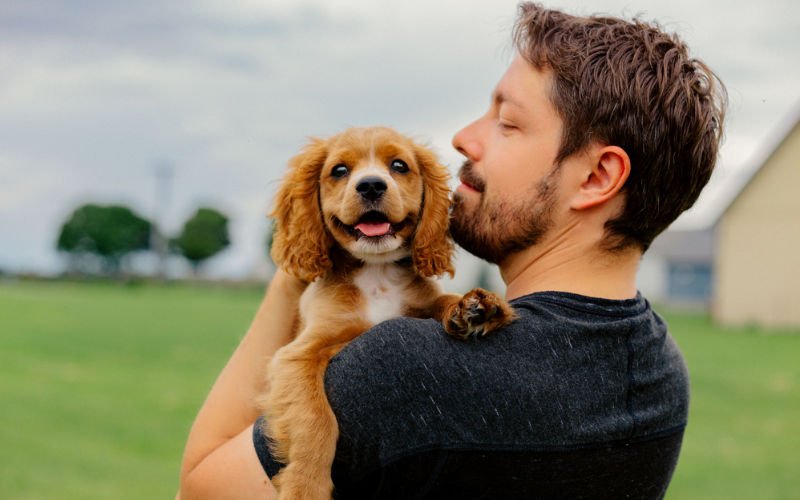 man holding cocker spaniel puppy