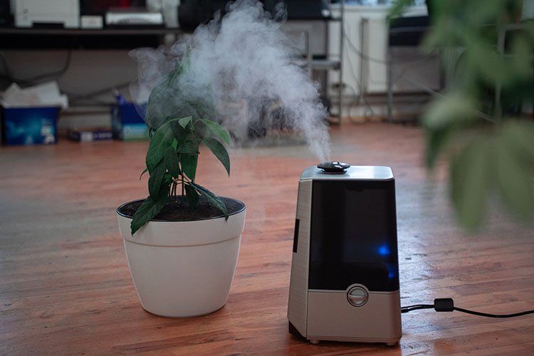 7 New Year’s Resolutions You’ll Actually Want to Keep