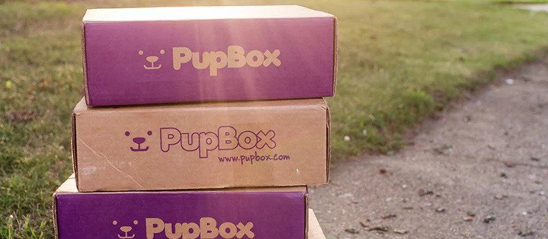 PupBox boxes in a stack