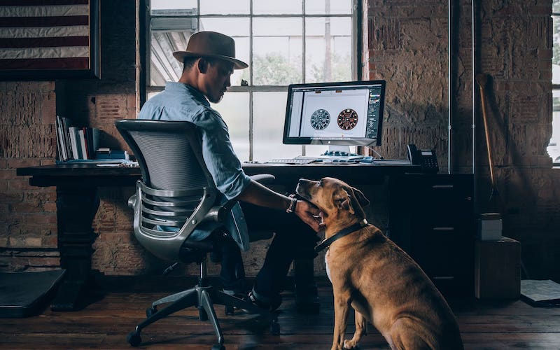 Man sits at computer and pets a brown dog sitting on floor