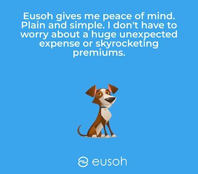 Quote of positive review written on a Eusoh graphic